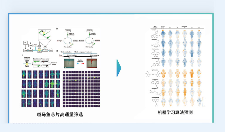 高通量多功能同步筛选